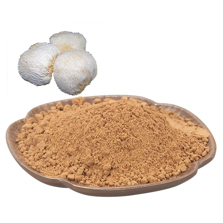 Lion‘s Mane Mushroom (1)