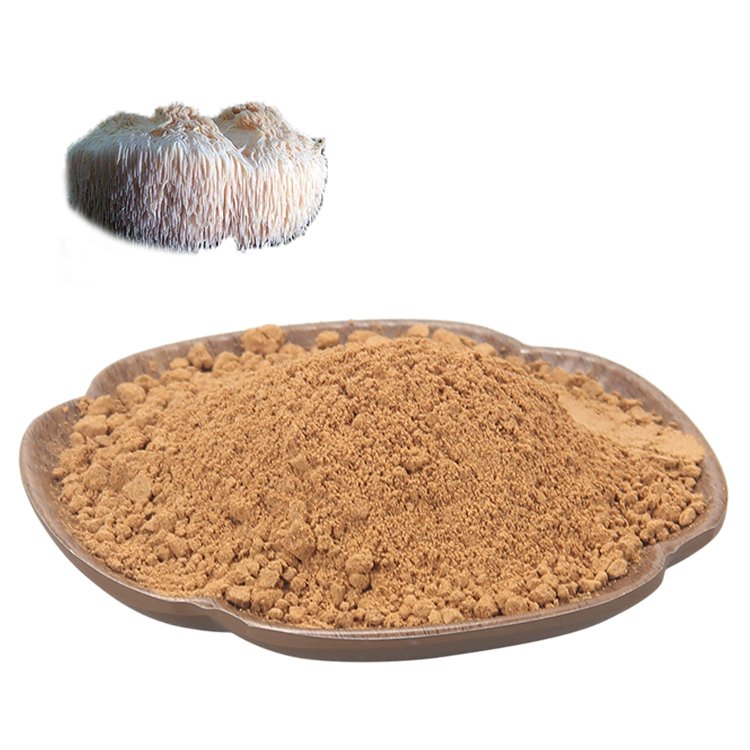 Lion's Mane Mushroom Extract Powder