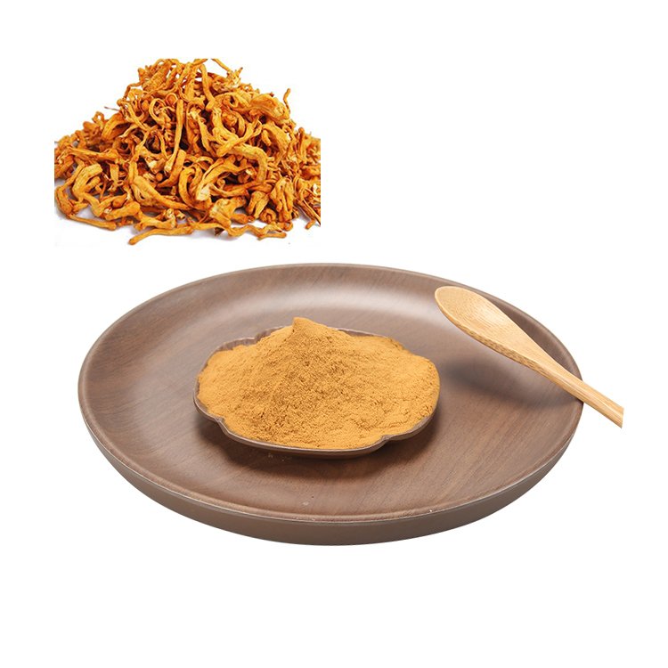 cordyceps militaris extract (4)