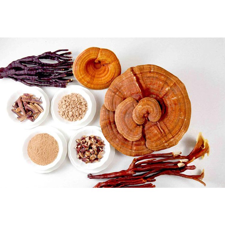 reishi mushroom powder