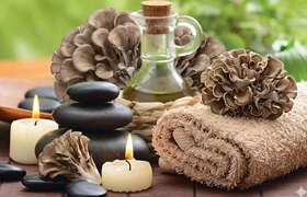 complementary wellness nutrition turkey tail