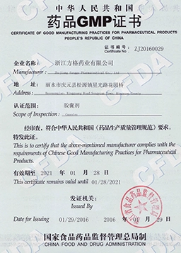 GMP Certification
