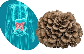 gut health mushroom product