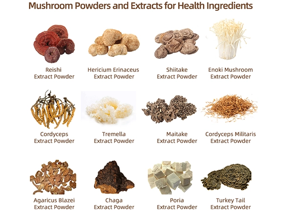 Mushroom Extraction Process