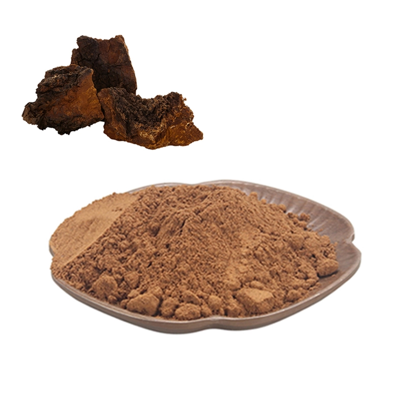 Chaga Mushroom Extract Powder