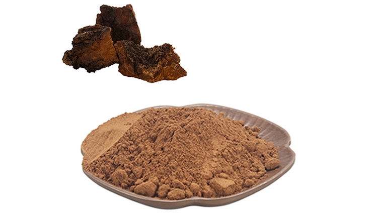 Chaga Extract