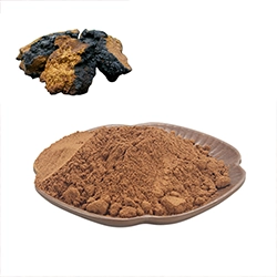 Chaga Powder Texture Close-up