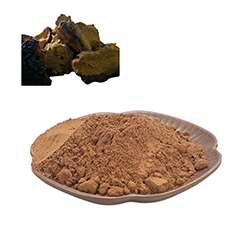 Raw Material vs Extract Powder