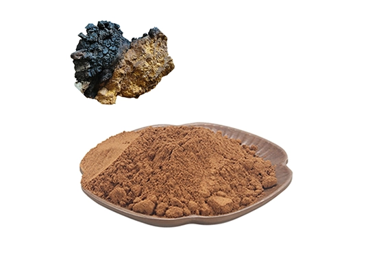 Chaga Extract Powder