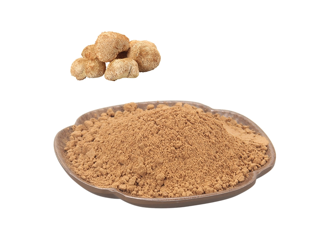 Lion's Mane Extract Powder
