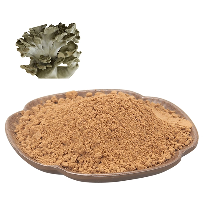 Maitake Extract Powder