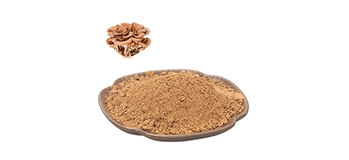 Maitake Extract