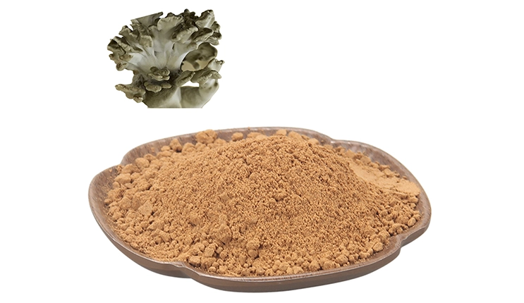 Maitake Extract