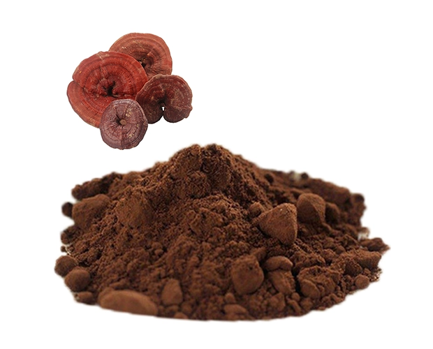 reishi extract powder ganoderma