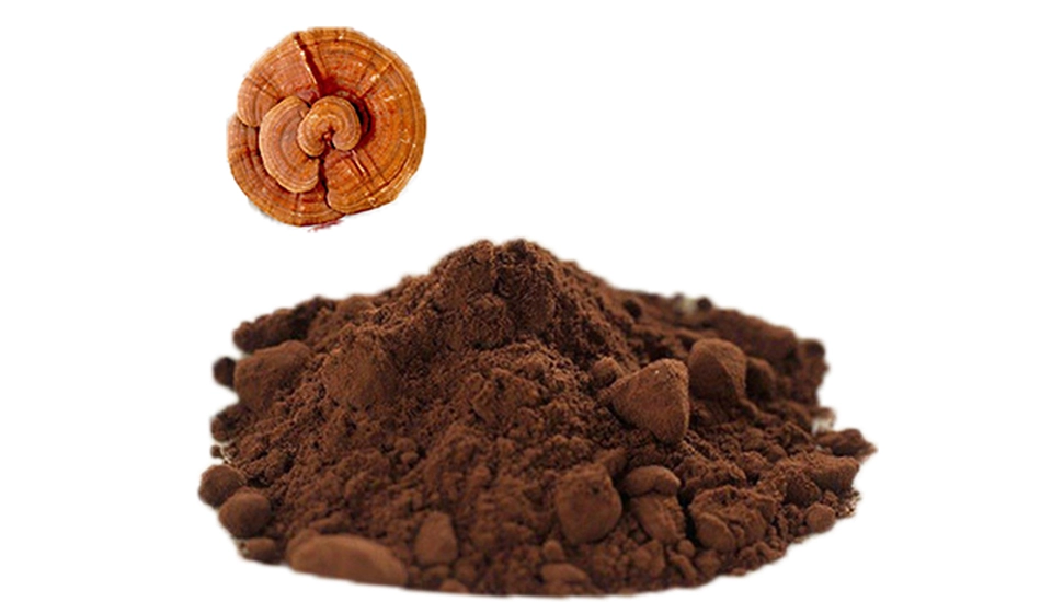 reishi mushroom extract powder