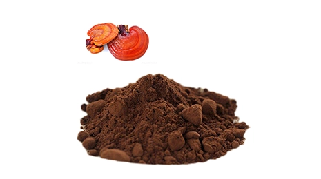 reishi extract bulk packaging 25kg