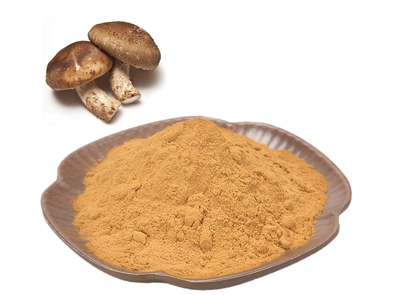 Shiitake Extract Powder