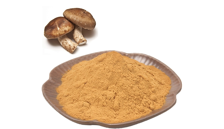 Shiitake Extract
