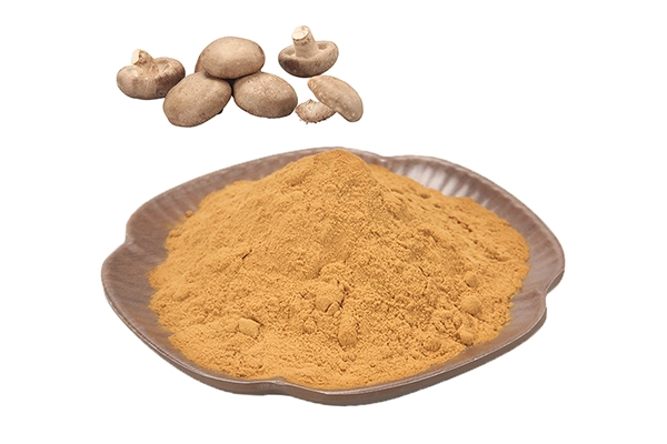 Shiitake Powder