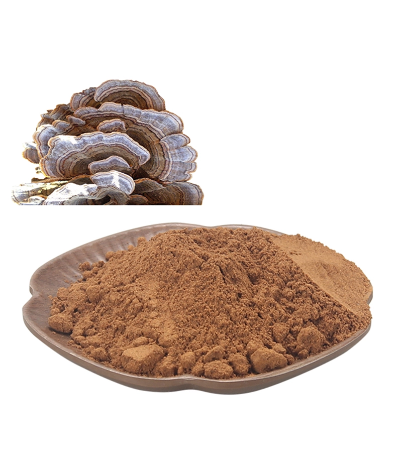 turkey tail extract powder trametes versicolor