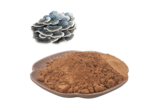 turkey tail extract bulk packaging 25kg aluminum bag