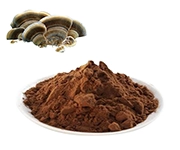 free sample icon image turkey tail