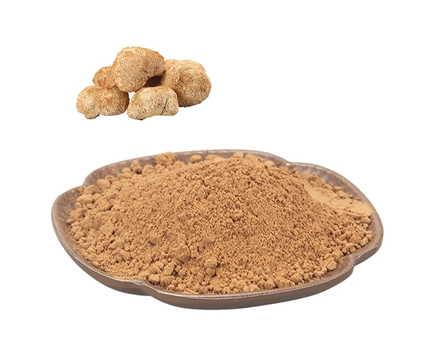 Lion's Mane Mushroom Extract