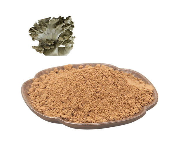 Maitake