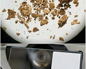 mesh size sieve image