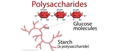 PSK polysaccharide K icon image