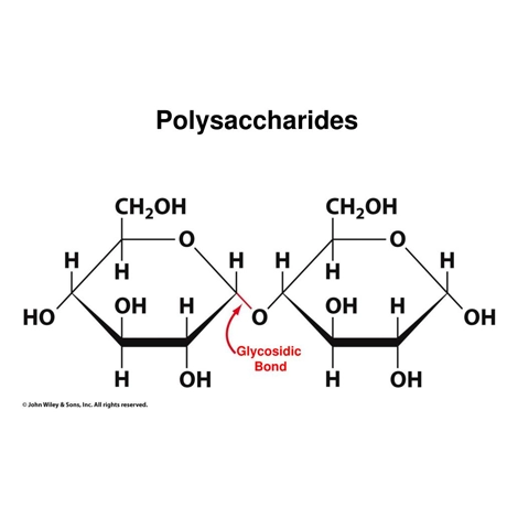 Polysaccharides