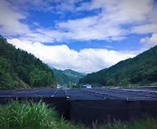 Functional Food Client