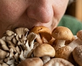 aroma mushroom image