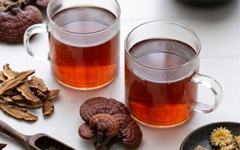 functional beverage reishi