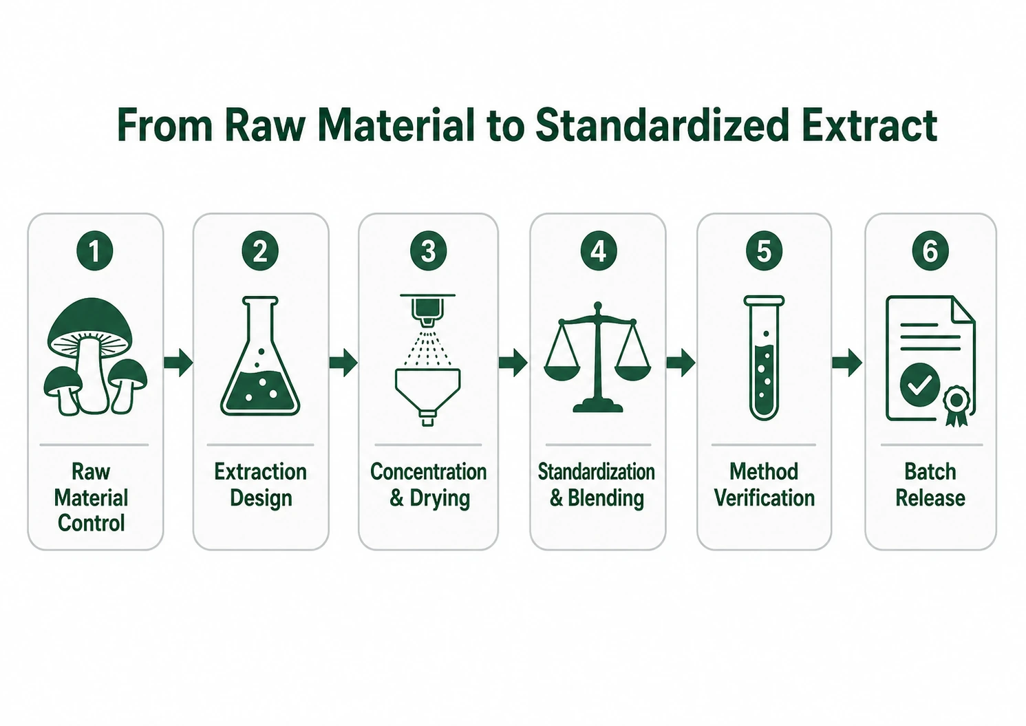 from raw material to extract process
