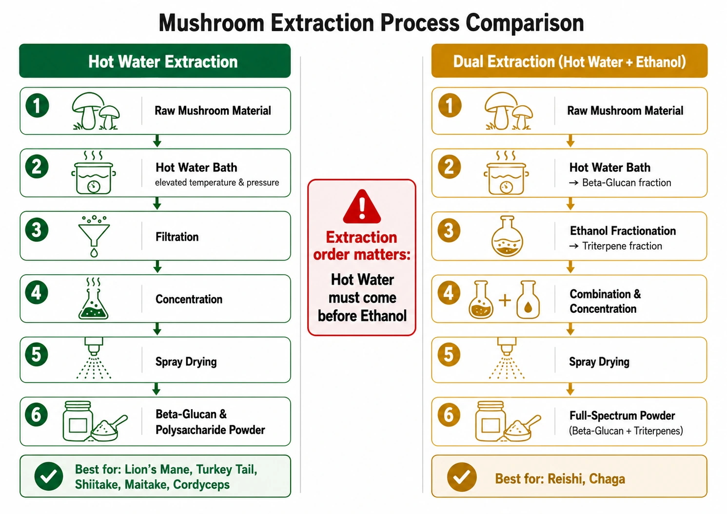 mushroom extraction process comparison