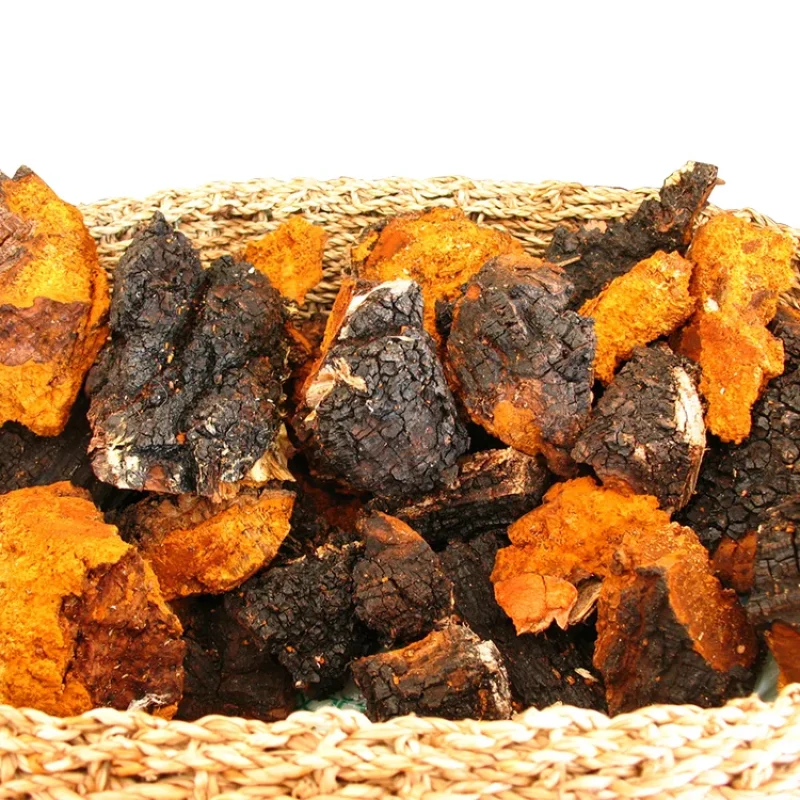 Chaga-Mushroom-Extract