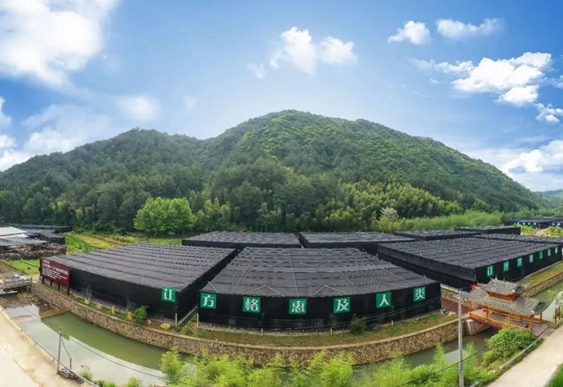 Organic-Mushroom-Farms